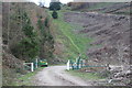 Gateway on forestry track below Pegwn-y-bwlch