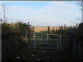 Kissing gate alongside the Wales Coast Path