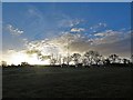 Wallace Lane Campsite