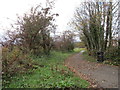 Footpath at Cardross