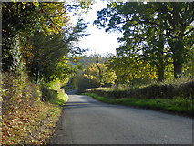 TL2506 : Wildhill Road by Robin Webster