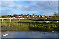 Houses at Bibstone seen across the pond at Townwell