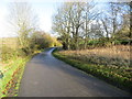 Road descending towards Aylesmore Farm