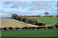 TL2734 : Hillside hedgerow north of Wallington Road by Robin Webster