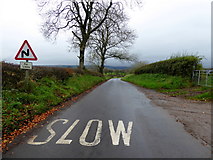 H5472 : Slow down sign, Bracky Road by Kenneth  Allen
