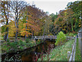 Footbridge over the River Lossie