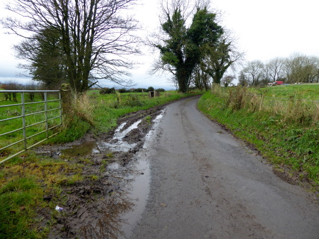 Muddy along Roeglen Road