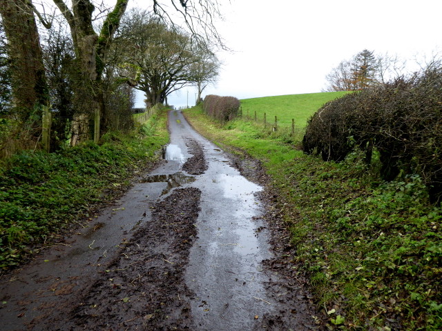 Muddy along Stoneleigh Road
