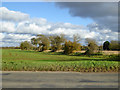 Farmland east of Sutton Road