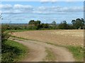 Field track near Fauld