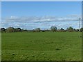 Flood plain of the River Dove near Fauld