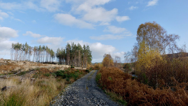 Hill track from Dingwall to Garve near Rogie