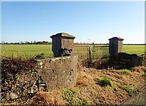 J2106 : Pillared gate posts on the Templetown Road by Eric Jones