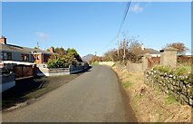 J2106 : Houses on Templetown Road at Ballynamony by Eric Jones
