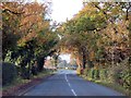 Newsham Hall Lane by Woodplumpton