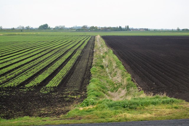 Field ditch