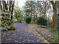 Public footpath on driveway to Goit Stock Cottages