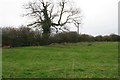 Earthworks near Middle farm, Cold Hanworth