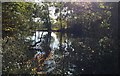 Pond at Clay Hill