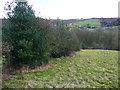 Halifax FP394 passing an old hedge with holly trees