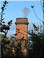 SJ1876 : The former cement works chimney by John S Turner