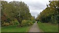 Public footpath in Thorpe Astley