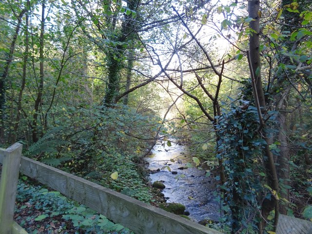 The Cookstown River near Enniskerry
