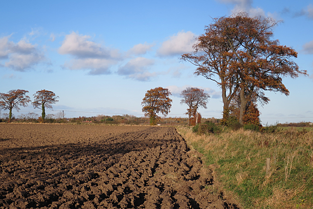 Ploughed Field near Crookston