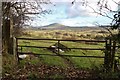 Looking towards Great Mell Fell from Doddick