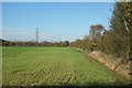 Field by the Colne Valley Way