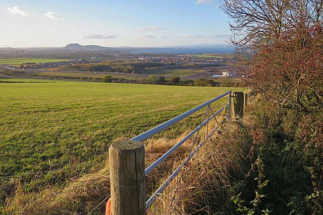 A Gate and a View