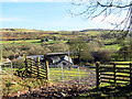 Llwybr Ceffyl Nantywenynen / Nantywenynen Bridleway