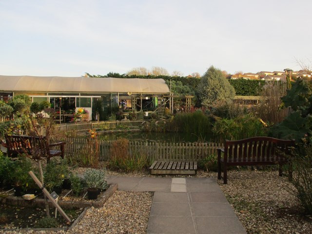 Groves Nursery and Garden Centre