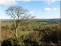 View over the Yarty valley