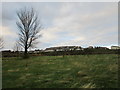 Housing on the edge of Dumbarton