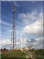 Communications mast and utility pole