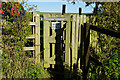 Path leading to High Penhowe Farm