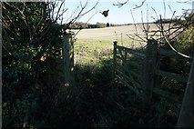 SE7865 : Bridleway leading towards Burythorpe by Ian S