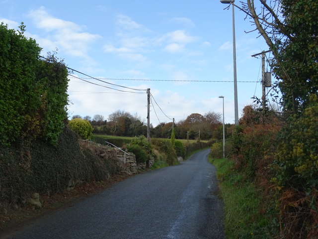 The road from Kilmallin to Glencullen