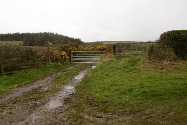 Farm road, Mount Hooley