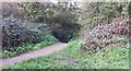 Path to the Pook Bourne Stream