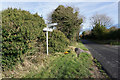 Road at Leavening Brow