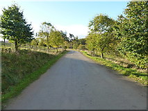 NH6023 : Widened access road to Dunmaglass by Richard Law