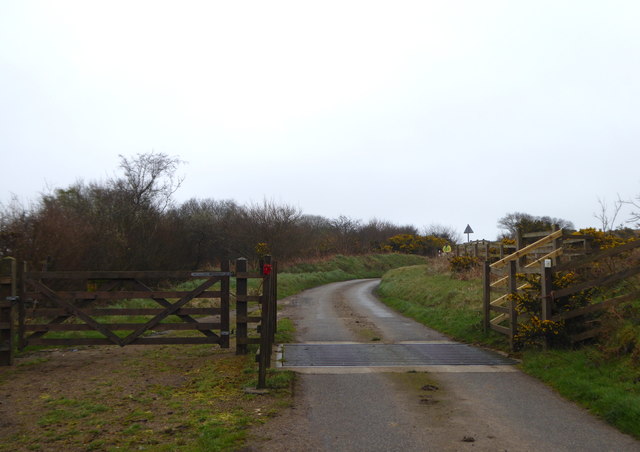 Cattle grid on the eastern edge of Tregonetha Downs