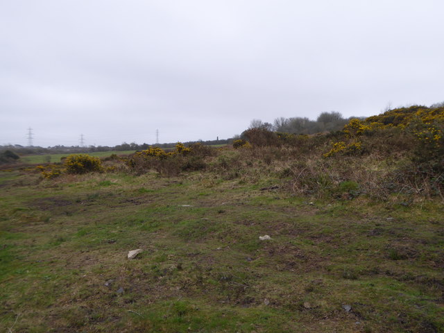 Scrubby commonland near Little Brynn