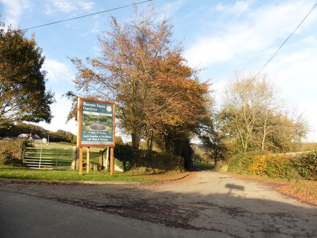 Access Road, Burrow Farm Gardens
