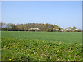 View towards former Great Oaks Farm