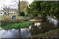 The River Eye at Lower Slaughter