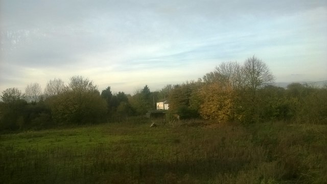 Kelvedon: looking off the railway towards houses on Hollow Road