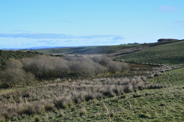Burn and grassland, Mount Lothian